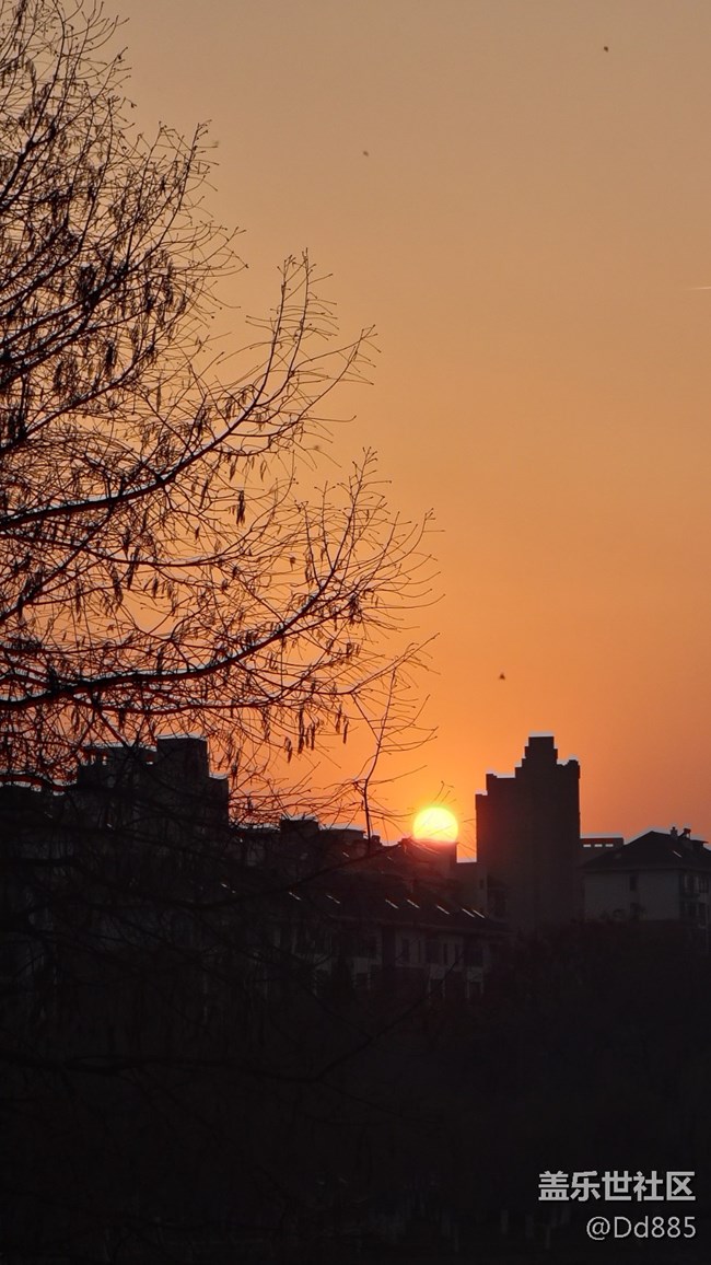 【踏春】可問春風(fēng)