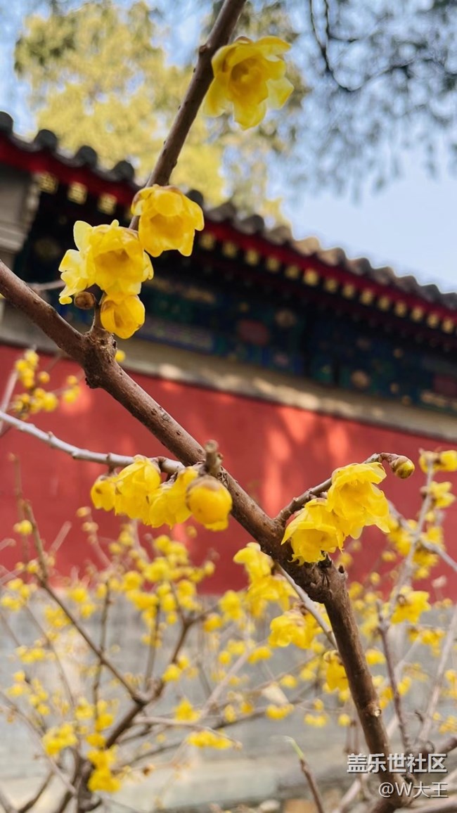 【閃亮的日子】+萬物復(fù)蘇