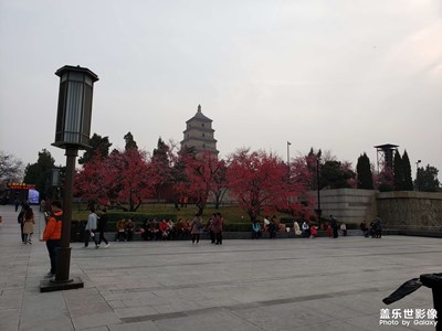 隨便看看