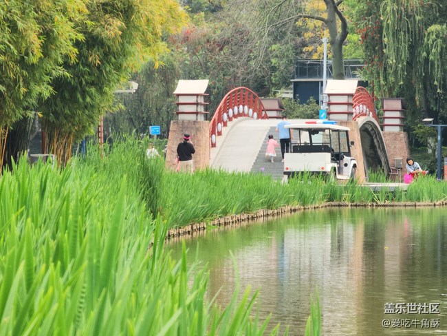 【初春時刻】春天的氣息