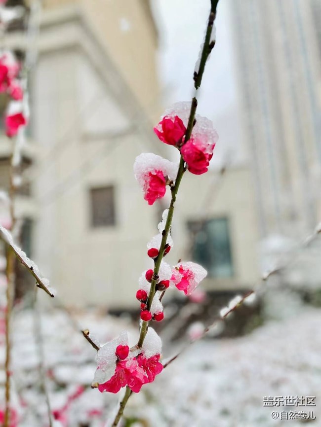 2023年的第一場(chǎng)雪