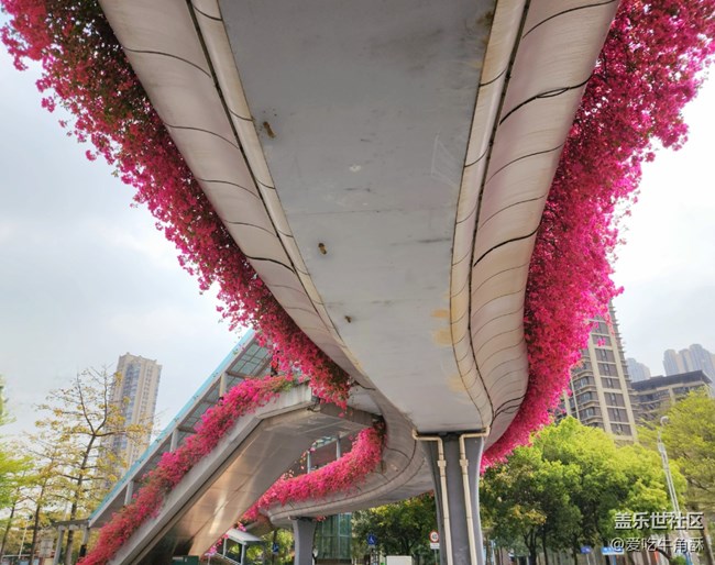 【初春時刻】春天的氣息