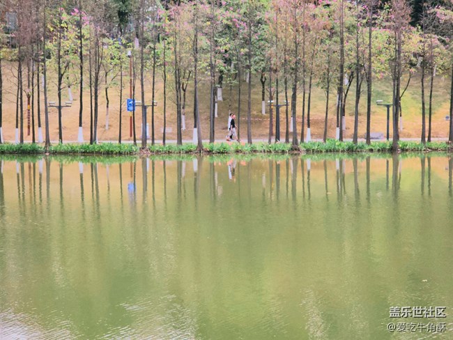 【初春時刻】春天的氣息