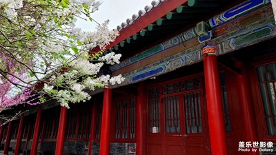 碑林里的春天