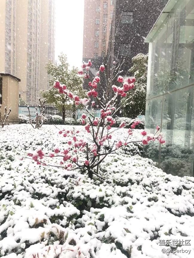 突如其來(lái)的寧?kù)o