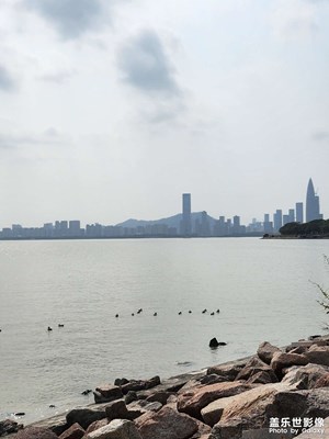 公園逛一下