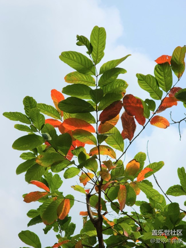 【初春時刻】春天的氣息