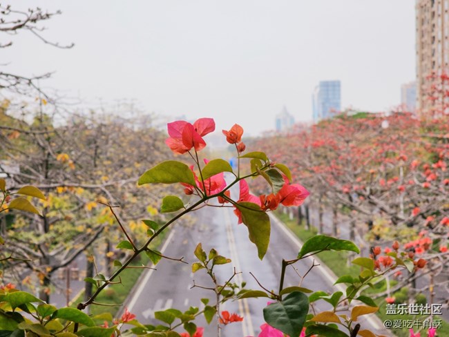 【初春時刻】春天的氣息