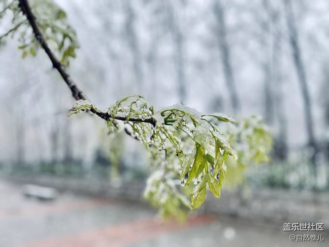 2023年的第一場(chǎng)雪