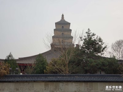 隨便看看