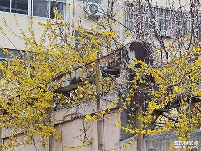 小區(qū)一角