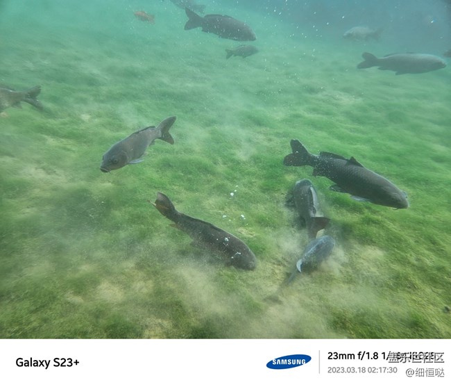 濟(jì)南星部落S23春日攝影分享 濟(jì)南星部落S23春日攝影分享