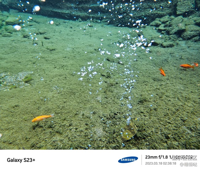 濟(jì)南星部落S23春日攝影分享 濟(jì)南星部落S23春日攝影分享