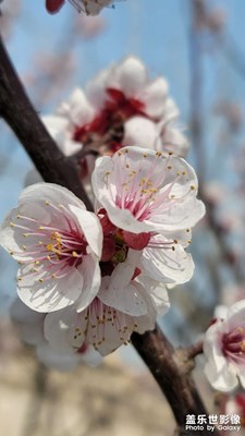 周末再次面向大海，春暖花開