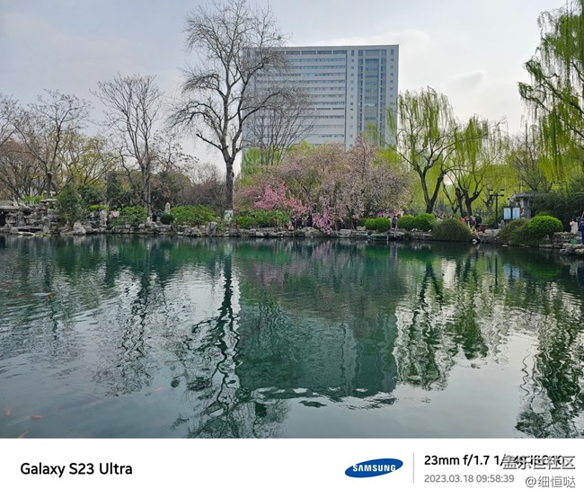 濟(jì)南星部落S23春日攝影分享 濟(jì)南星部落S23春日攝影分享