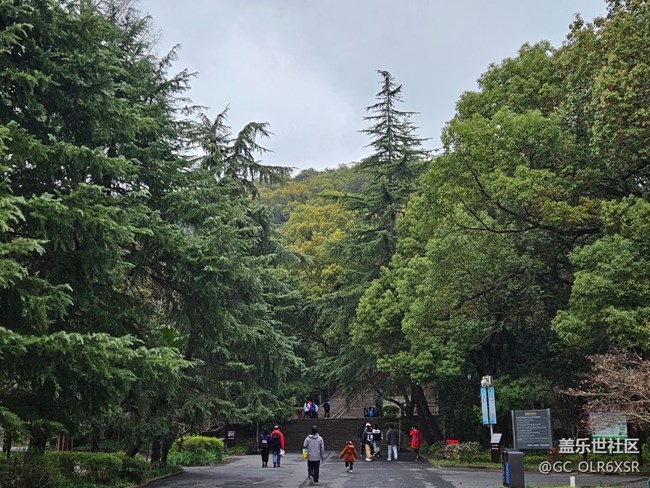 S23+拍照不錯。顏色很好。佘山+楓涇古鎮(zhèn)