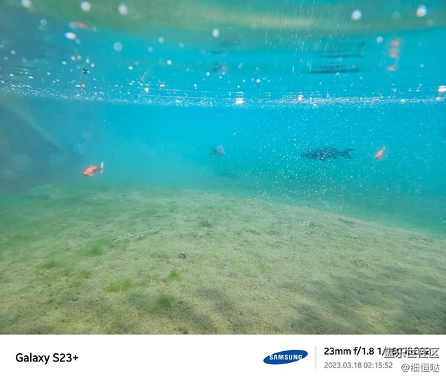 濟(jì)南星部落S23春日攝影分享 濟(jì)南星部落S23春日攝影分享