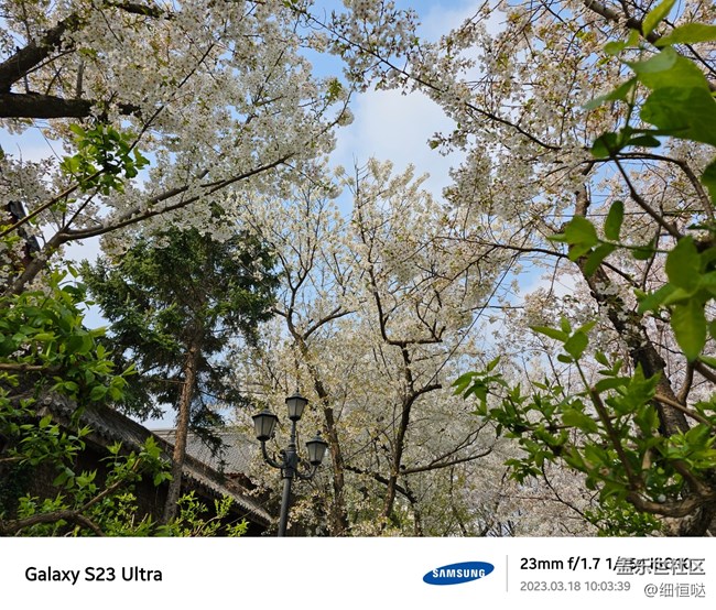 濟(jì)南星部落S23春日攝影分享 濟(jì)南星部落S23春日攝影分享