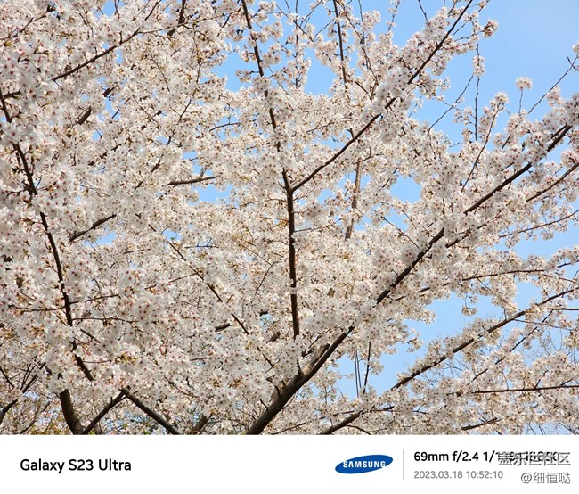 濟(jì)南星部落S23春日攝影分享 濟(jì)南星部落S23春日攝影分享