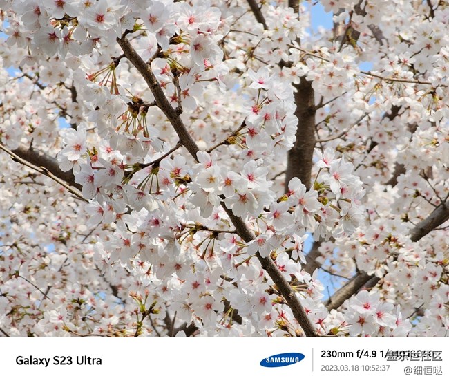濟(jì)南星部落S23春日攝影分享 濟(jì)南星部落S23春日攝影分享