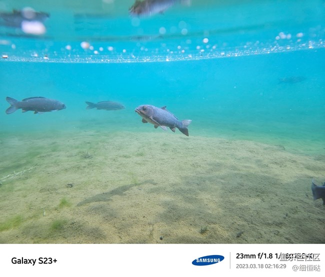 濟(jì)南星部落S23春日攝影分享 濟(jì)南星部落S23春日攝影分享