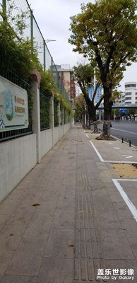 隨手拍