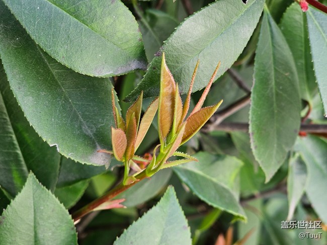 #暖心暖意——新與舊