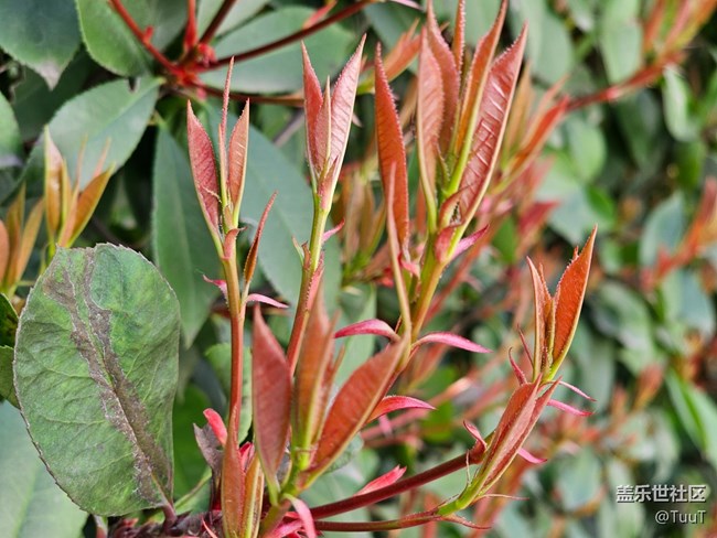 #暖心暖意——新與舊