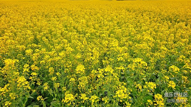 【地標(biāo)】+開陽十里畫廊