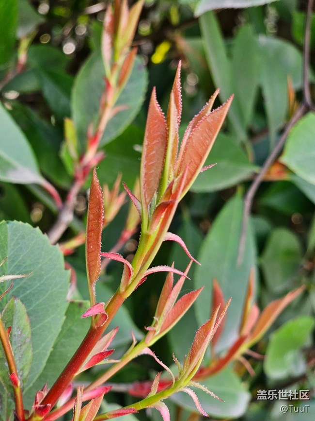 #暖心暖意——新與舊