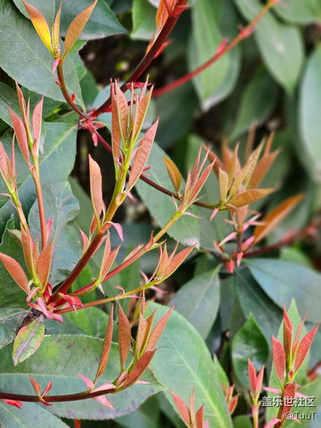 #暖心暖意——新與舊