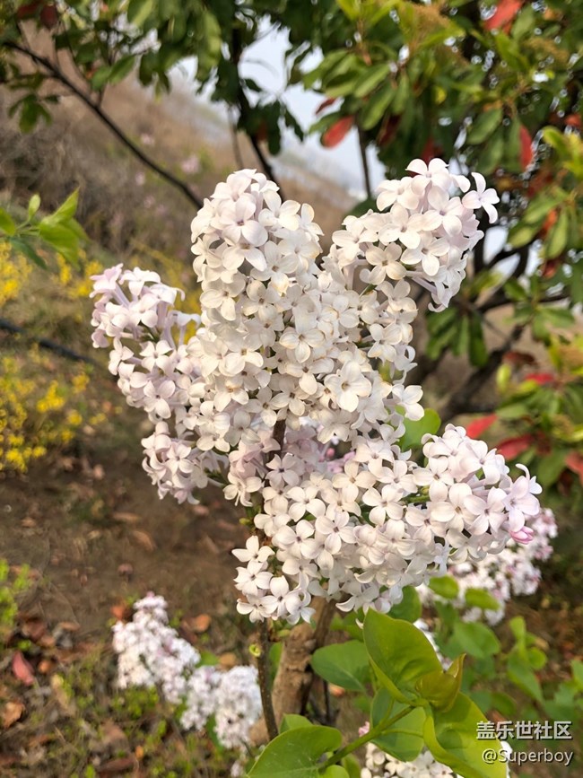 約個(gè)時(shí)間帶你去踏青