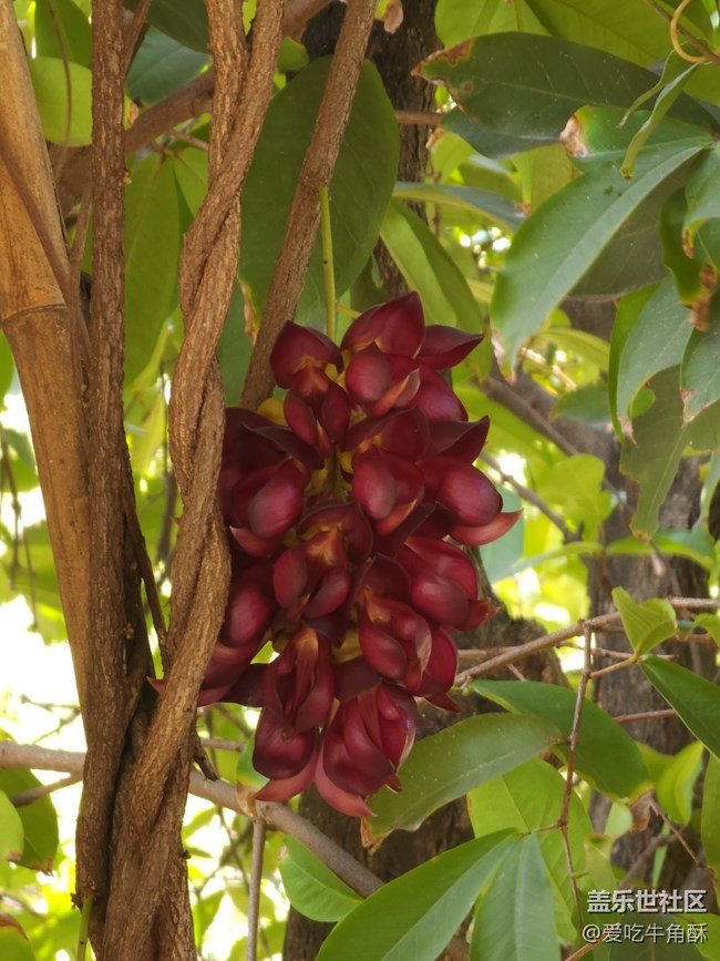 #暖心暖意——公園一角