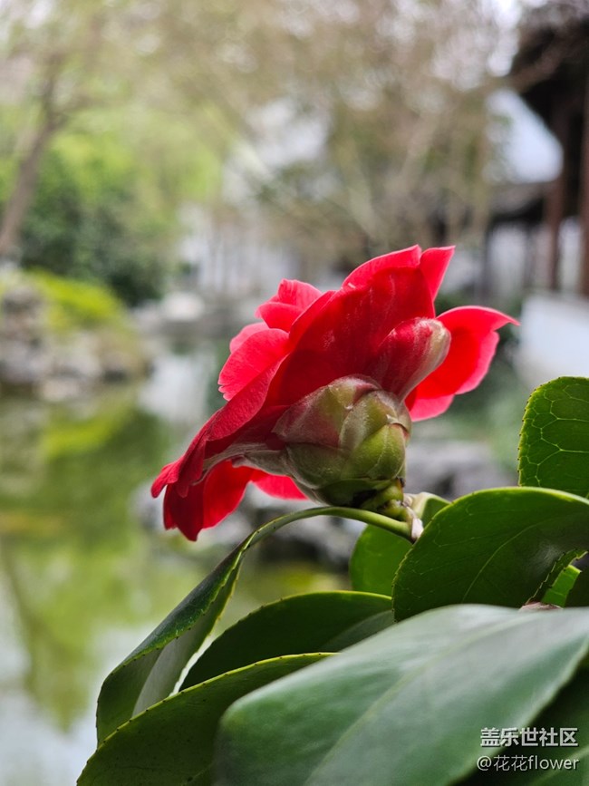 【閃亮的日子】+天晴了