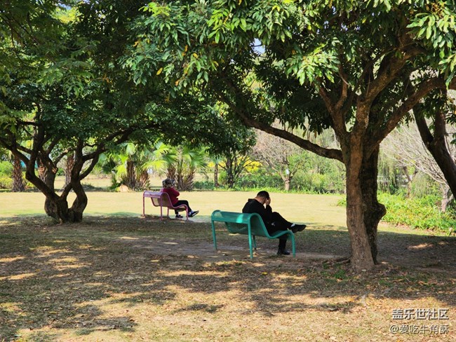 #暖心暖意——公園一角