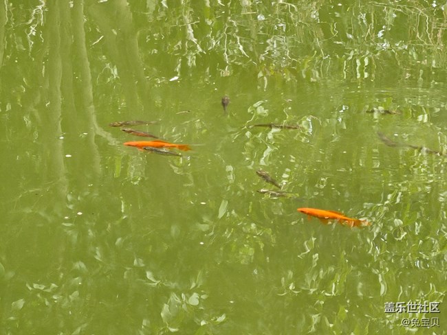 【閃亮的日子】+自由自在