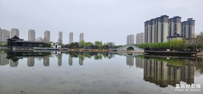 隨手拍
