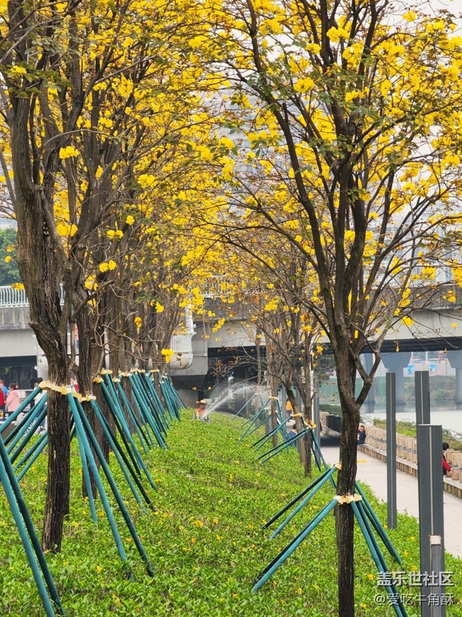 #暖心暖意——公園一角