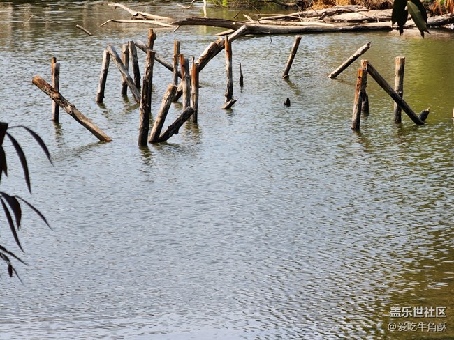 #暖心暖意——公園一角