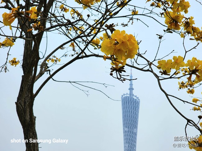 【地標】廣州的春天