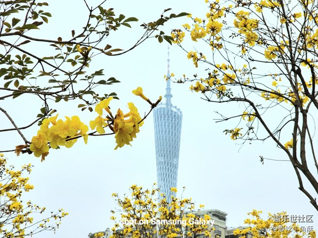 【地標】廣州的春天