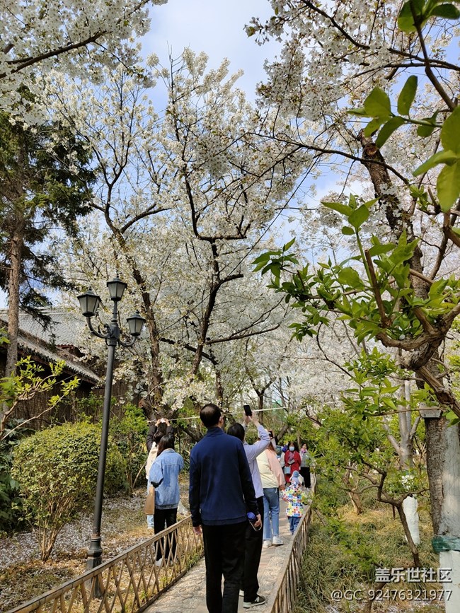 濟(jì)南部落三星S23品鑒會(huì)