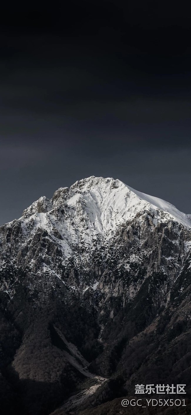 創(chuàng)意壁紙搬運工