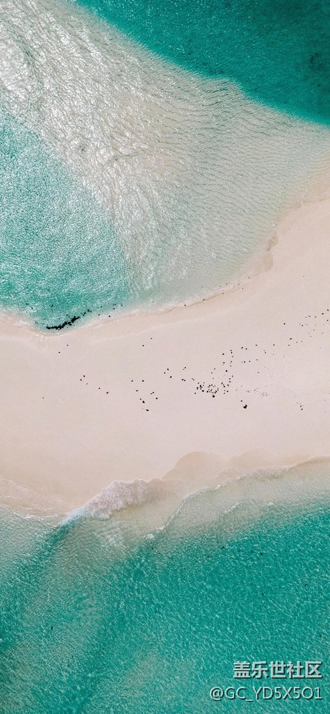 創(chuàng)意壁紙搬運工