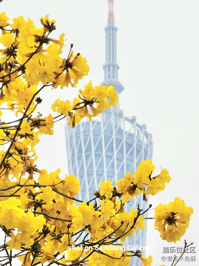 【地標】廣州的春天