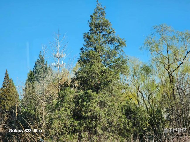 【初春時(shí)刻】春花爛漫時(shí)