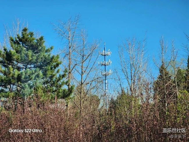 【初春時(shí)刻】春花爛漫時(shí)