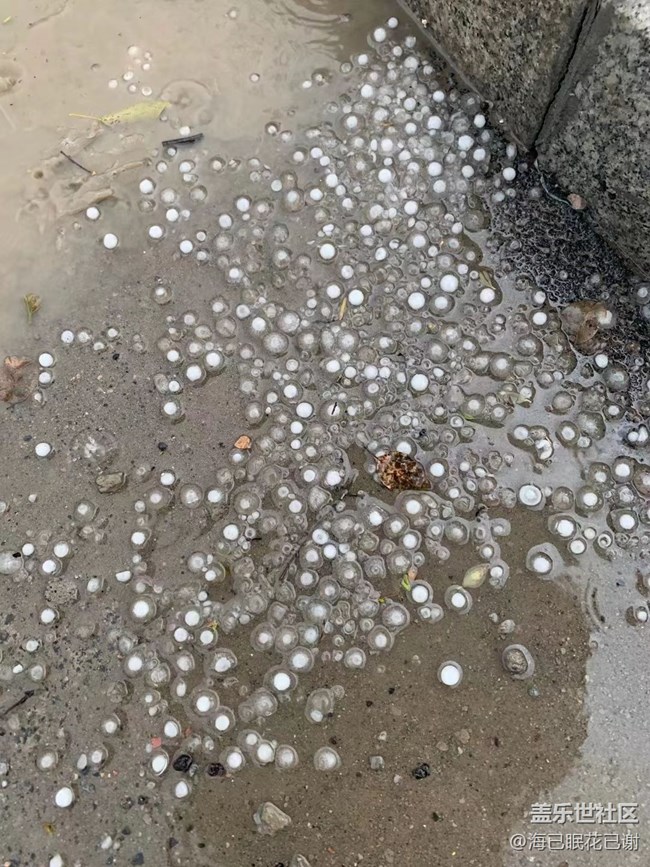 #暖心暖意——冰雹