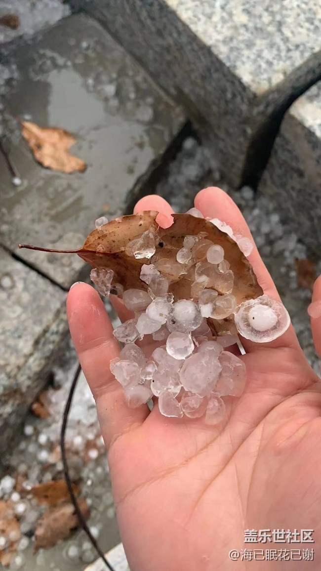 #暖心暖意——冰雹