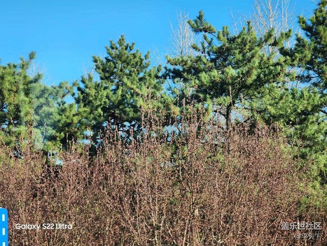 【初春時(shí)刻】春花爛漫時(shí)